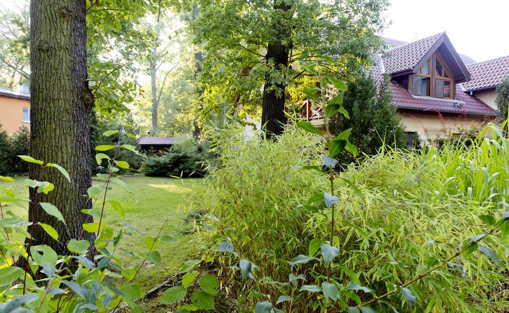 Hotel Am Katharinenholz Potsdam Exterior photo